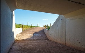 Cattle Underpasses